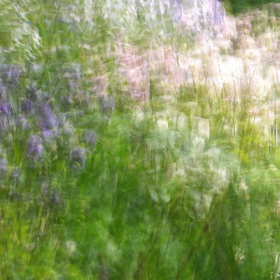 Encolie (1)