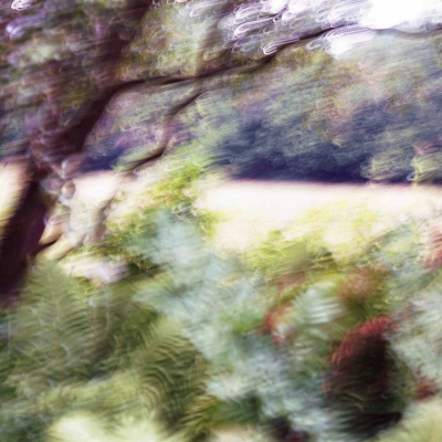 28-Un jardin extraordinaire
